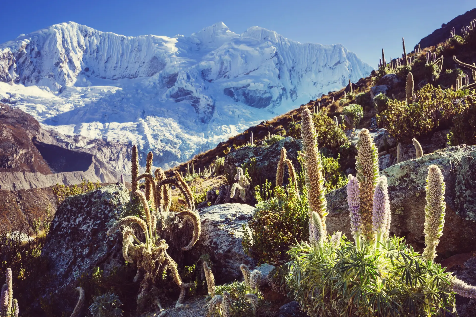 Nature & paysages