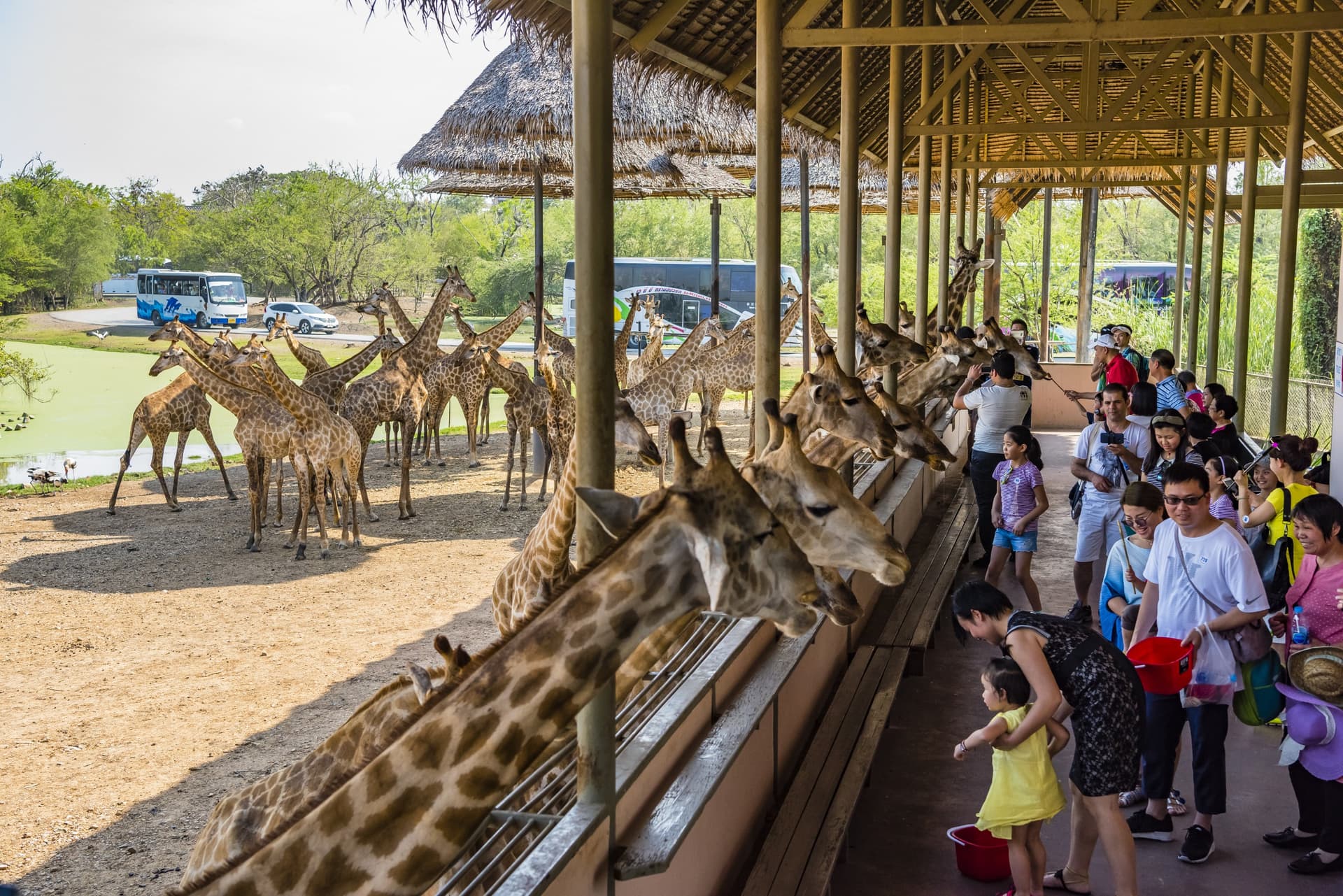 safari world2
