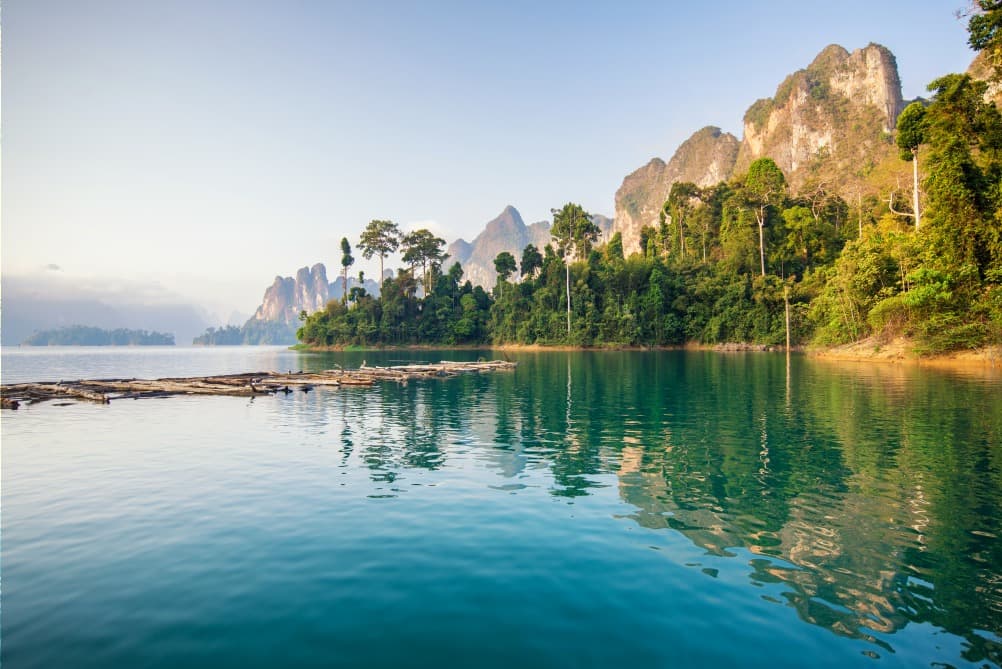 Parc national de Khao Sok : excursions en pleine jungle thaïlandaise