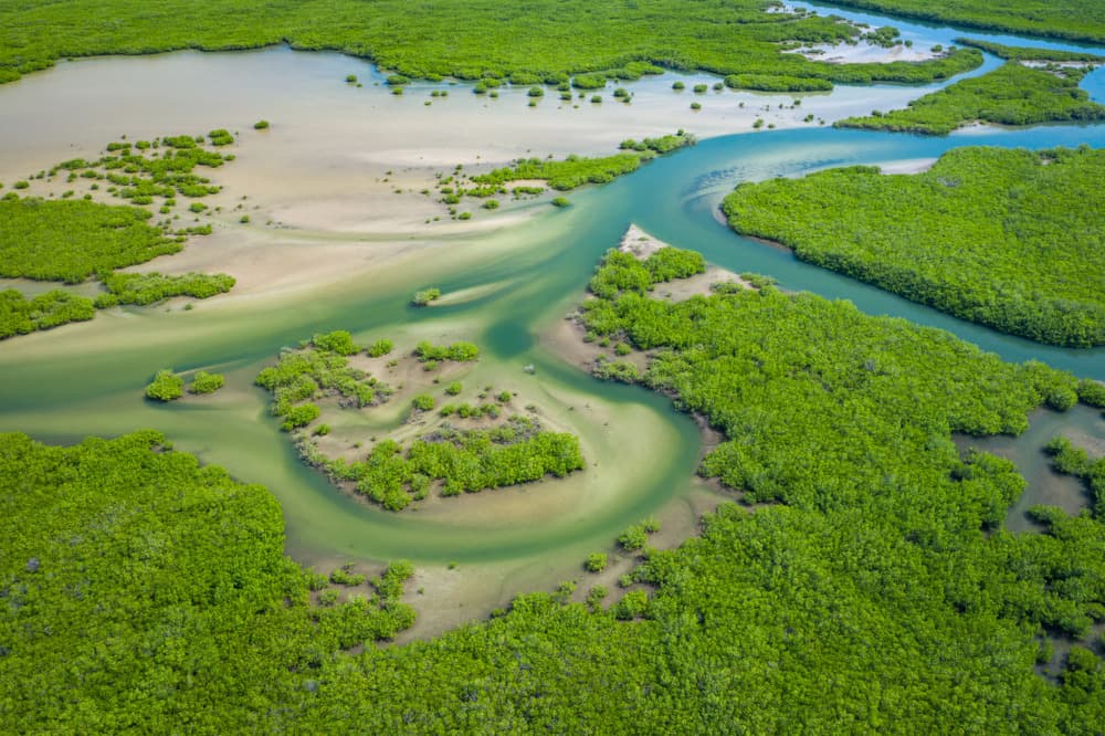Jour 8