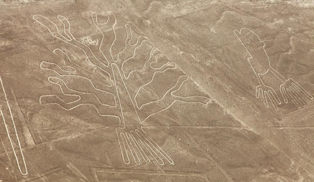 Pérou : partir à la découverte des mystérieuses lignes de Nazca