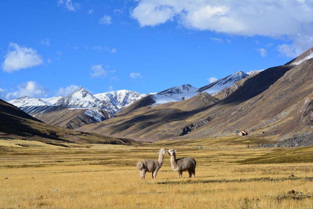 5 treks incontournables à faire au Pérou