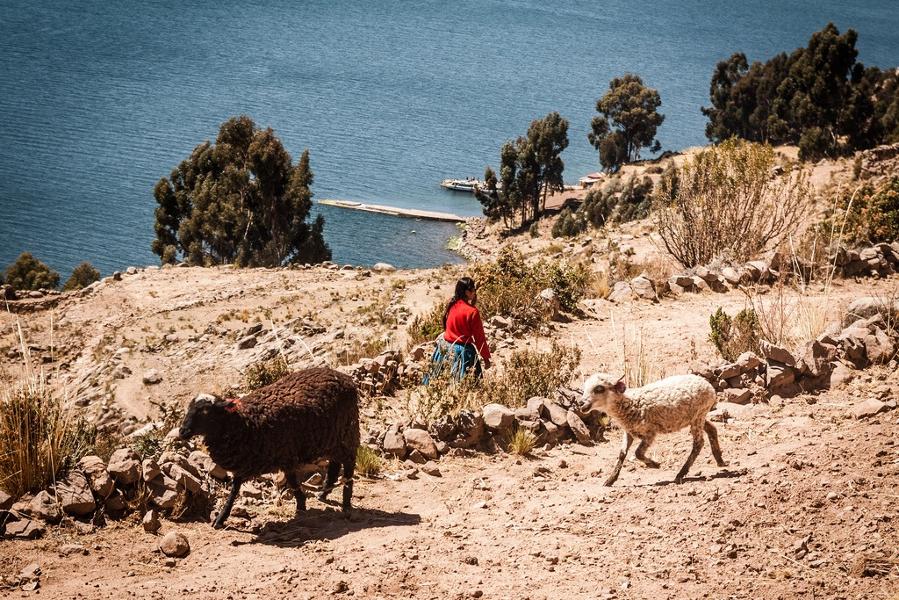 Mal aigüe des montagnes (MAM) au Pérou : comment l'éviter ?